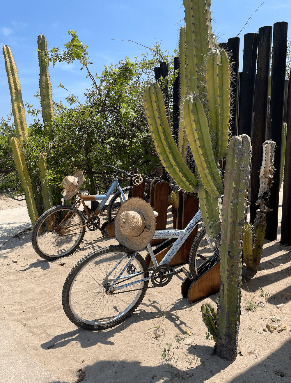 Bicicleta y desayuno mexicano
