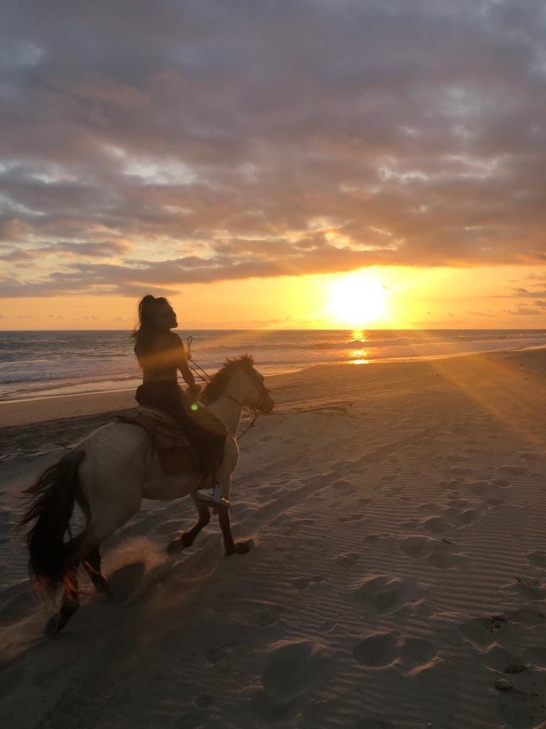 Cabalgatas por la playa y el río al atardecer